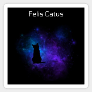 Felis Catus in Space Sticker